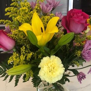 Meet your Posher, Stephanie